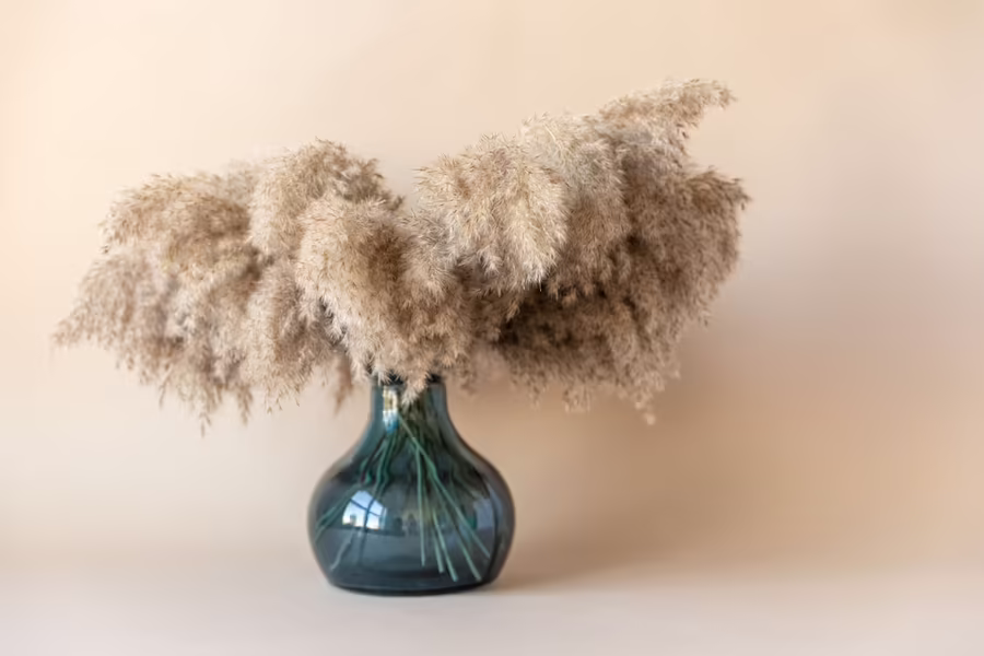 Vase en céramique avec matières botaniques séchées
