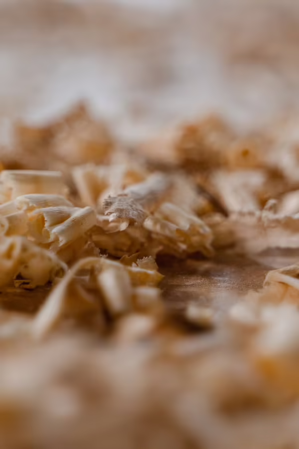 Copeaux de bois en gros plan